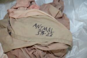 Bloody clothing belonging to Benjamin Walter “Animal” Dubois III was discovered discarded shortly after Dubois murdered fellow inmate Jerry Douglas Holmes in the Ridgeland Correctional Institute.
